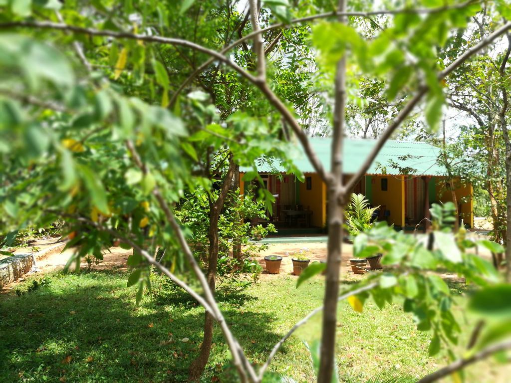 Sigiri La Veranda Lodge Kibissa 외부 사진
