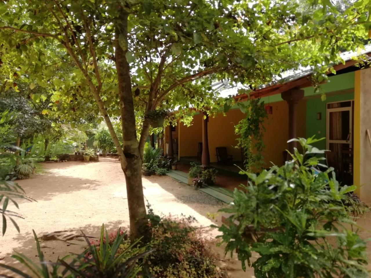 Sigiri La Veranda Lodge Kibissa 외부 사진