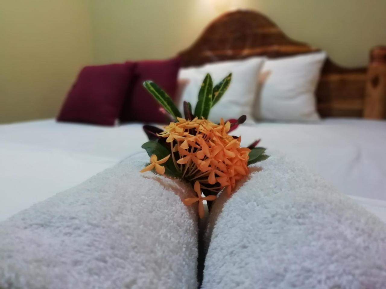 Sigiri La Veranda Lodge Kibissa 외부 사진